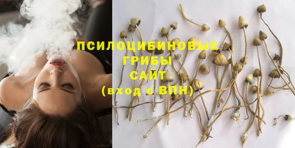 не бодяженный Абдулино