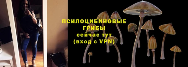 гидра Абинск