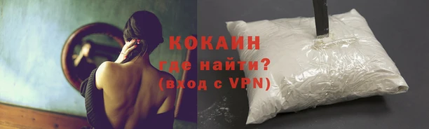 кокс Алзамай