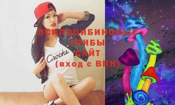 а пвп мука Абаза